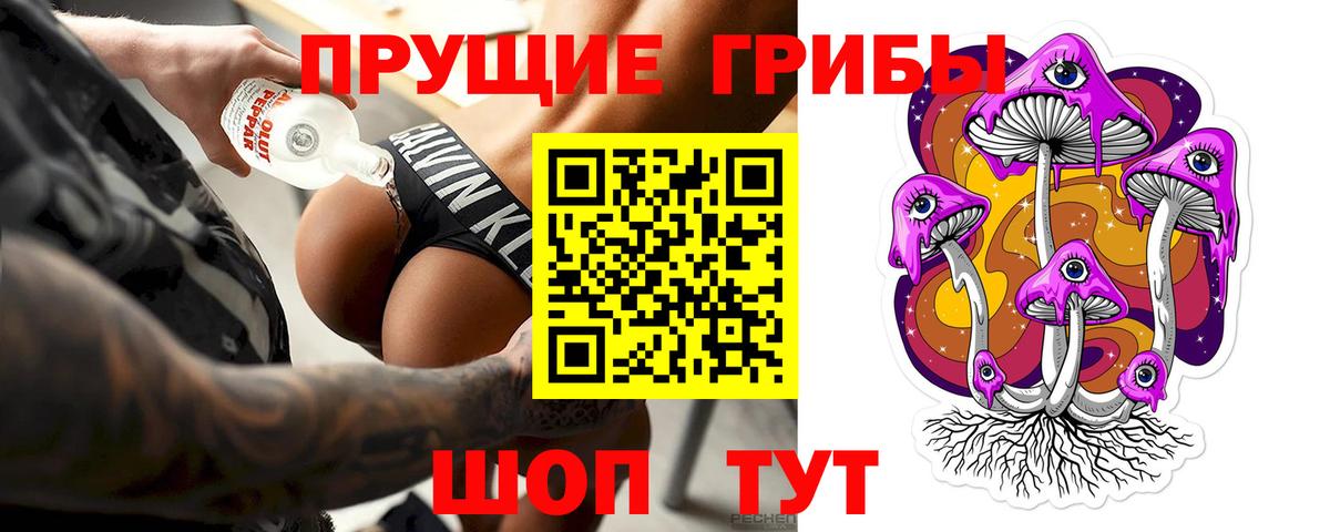 Псилоцибиновые грибы Psilocybe Красногорск