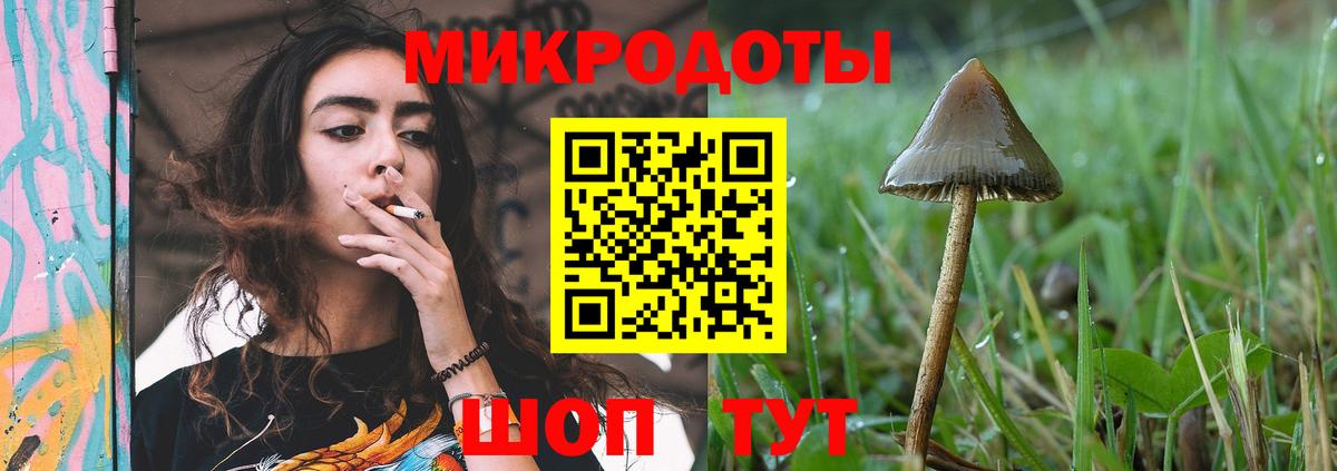 Красногорск  Галлюциногенные грибы прущие грибы  дарнет шоп  Вход с VPN  Галлюциногенные грибы мицелий 