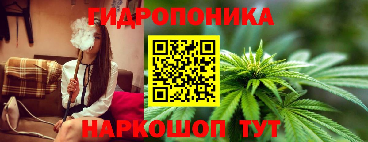Канабис White Widow  МАРИХУАНА SATIVA & INDICA  Канабис план  Конопля SATIVA & INDICA  Красногорск  Вход с VPN 
